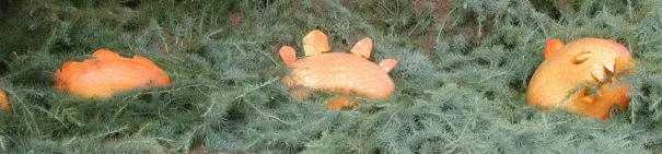 Sea Serpent, Nipomo Pumpkin Patch best carving idea